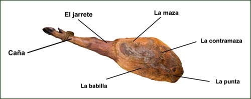 partes del jamón ibérico